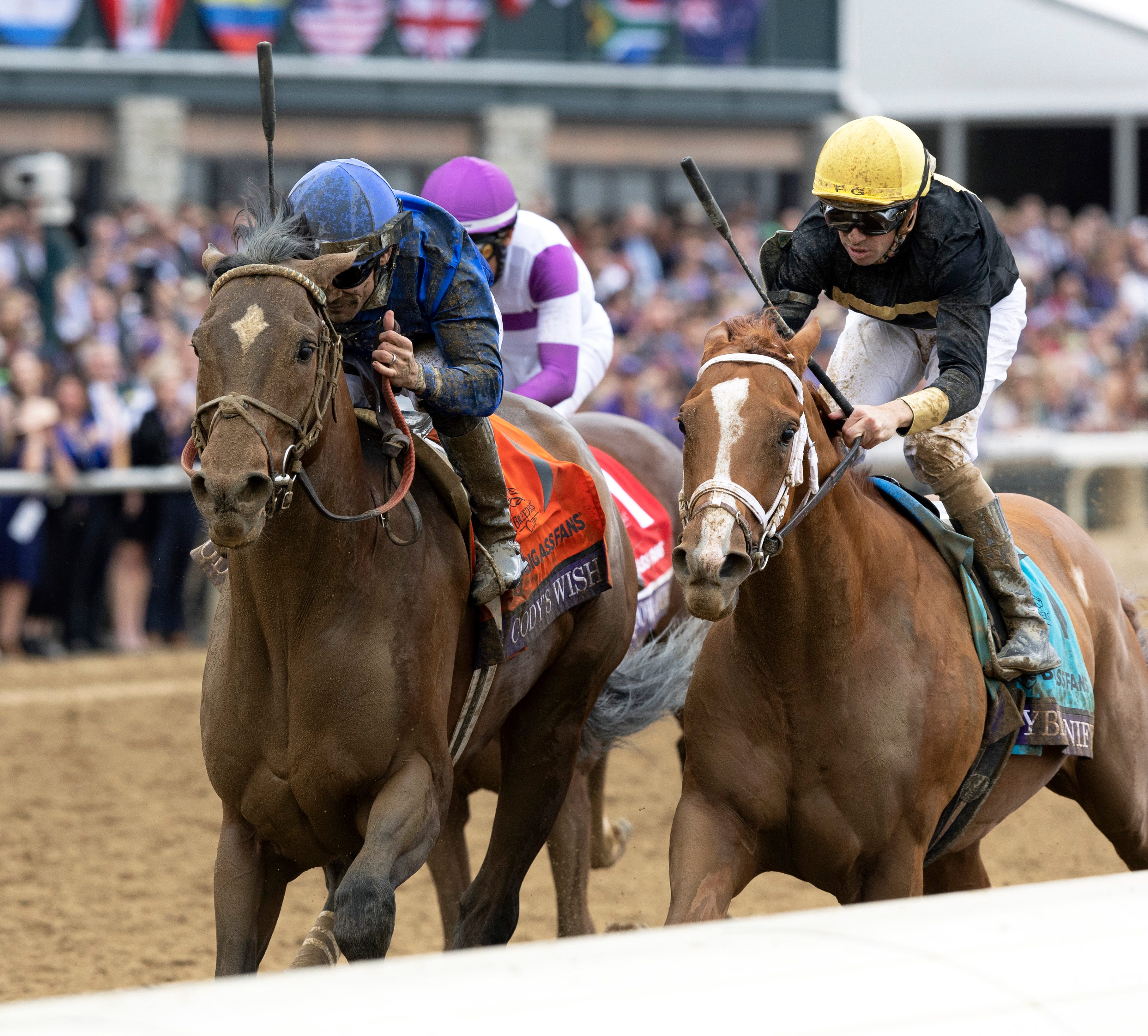 Breeders' Cup Dirt Mile Cody's Wish will race next year at age 5